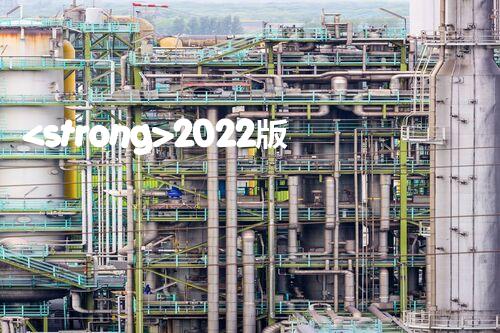 <strong>2022版?；访浗庾x：企業(yè)安全生產(chǎn)治理新指南</strong>